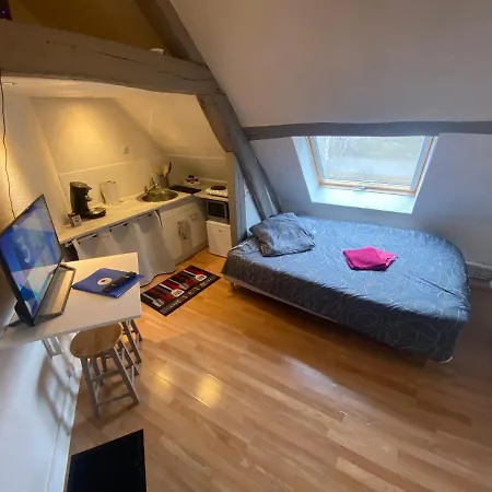 Le Nid Sous Les Toits - Fibre Wi Fi - Coeur De Historique - Gare * Troyes