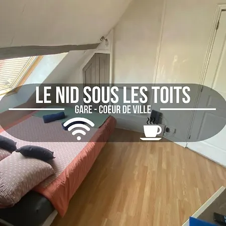 Le Nid Sous Les Toits - Fibre Wi Fi - Coeur De Historique - Gare Apartment