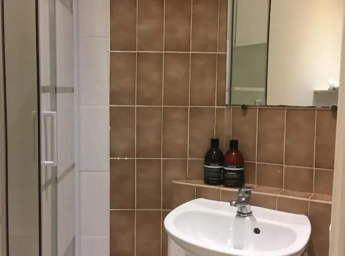 Apartament Le Nid Sous Les Toits - Fibre Wi Fi - Coeur De Historique - Gare *