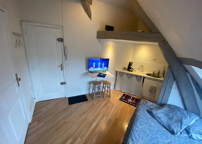 Le Nid Sous Les Toits - Fibre Wi Fi - Coeur De Historique - Gare Apartament *