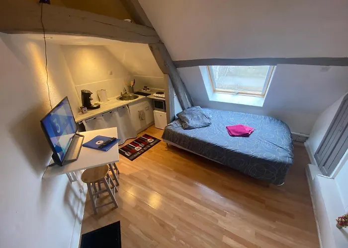 Le Nid Sous Les Toits - Fibre Wi Fi - Coeur De Historique - Gare * Troyes