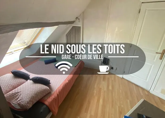 Le Nid Sous Les Toits - Fibre Wi Fi - Coeur De Historique - Gare Apartament
